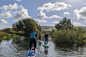 90 Minute Stand Up Paddleboarding Lesson For Two
