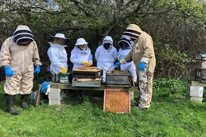 Inside the Hive Rural Beekeeping Experience for Two with Park Farm Cottage Image 1