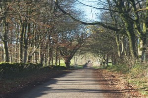 Peak District Taster eBike Tour for Two Image 2