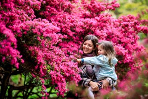 RHS Joint Membership with Unlimited Access to Five RHS Gardens picture