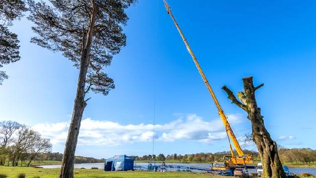 300ft Bungee Jumping Experience for One picture