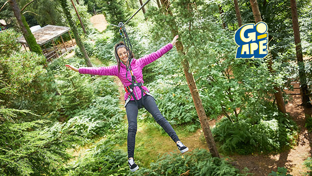 Treetop Challenge at Go Ape for One picture