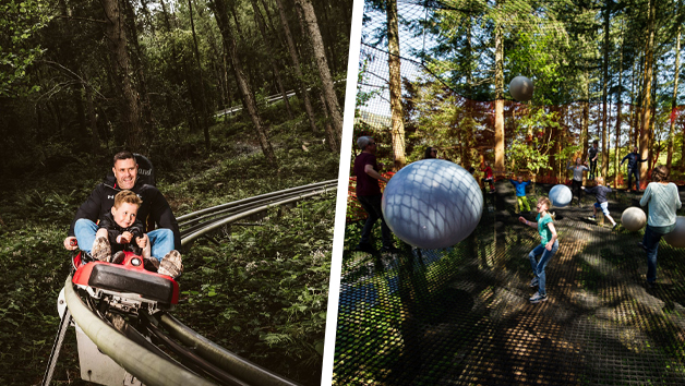 Fforest Coaster and Treetop Nets for One Adult and One Child at Zip World Betws-y-Coed picture