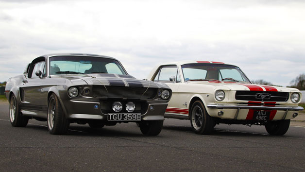 Driving Legends Experience with High-Speed Passenger Ride for One picture