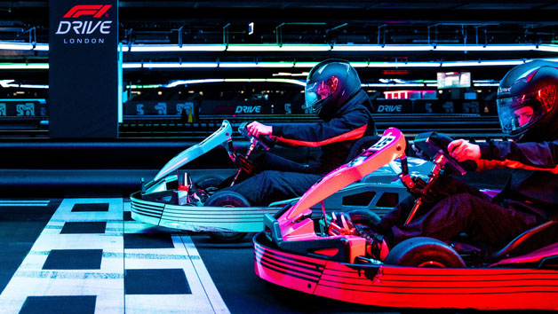 F1® DRIVE - London | Mixed Grid Session for One Adult and One Child at Tottenham Hotspur Stadium picture