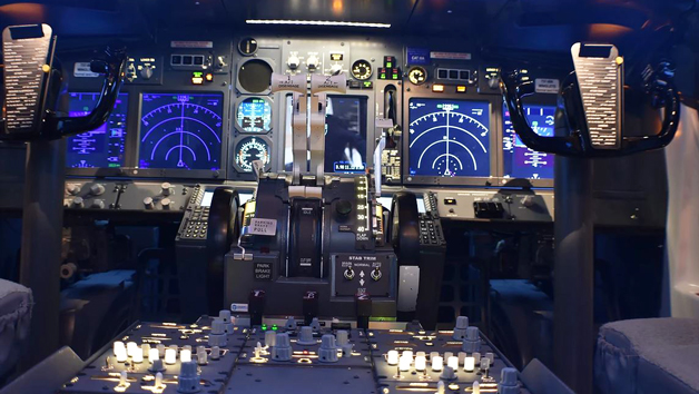Boeing 737 Flight Simulator Experience for One picture