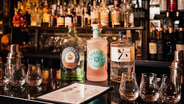Japanese Gin Masterclass at MAP Maison for Two picture