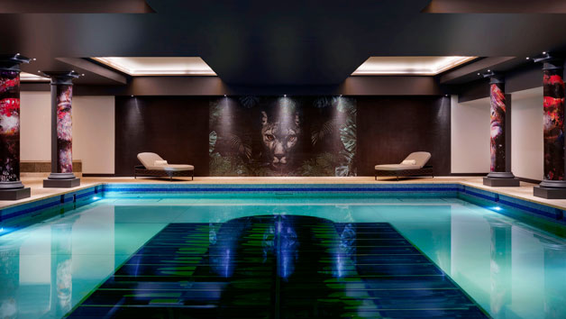 Spa Day with 50 Minute Treatment for Two at Rena Spa at NYX Hotel London Holborn picture
