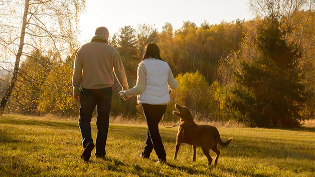 Dog Friendly Short Breaks picture