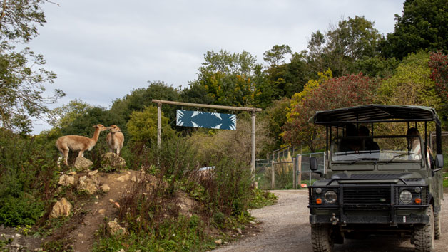 Port Lympne Reserve Ranger Tour with Entry for Two Image 3