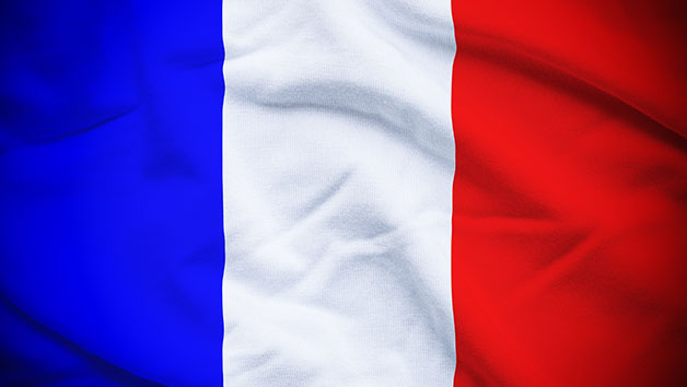Online French Certification Course Level 1, 2 and 3 for One Person picture