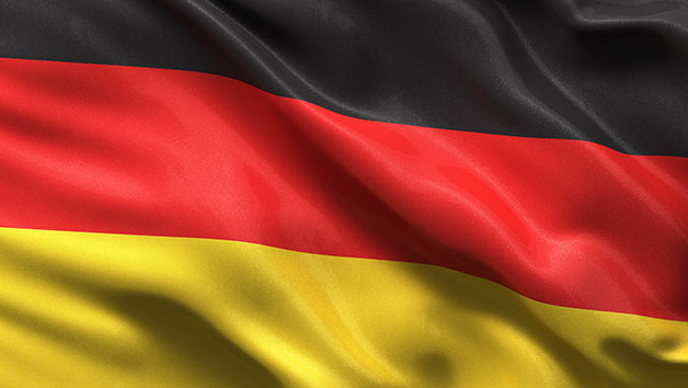 German Level 1 Online Language Course for One Person picture