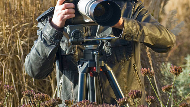 Online Flower and Plant Photography Course for One with an Expert picture