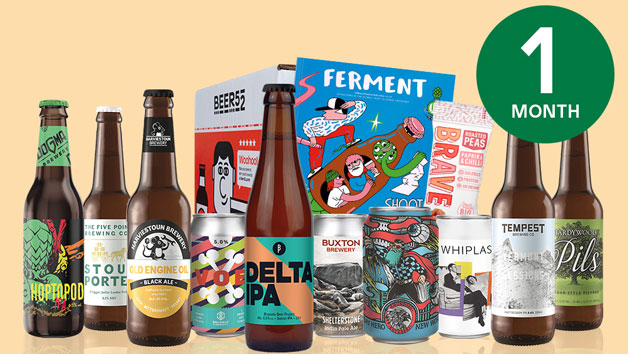 Beer52 One Month Ten Pack of Beer Subscription for One picture