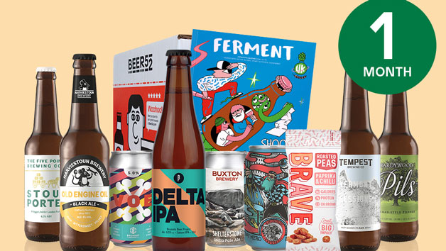 Beer52 One Month Eight Pack of Beer Subscription for One picture