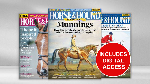 12 Months of Horse and Hound Magazine picture