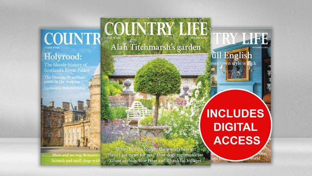 Six Months of Country Life Magazine picture