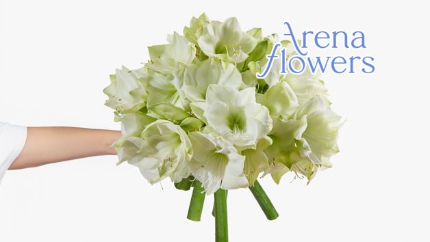 Six-Month Arena Flowers Luxury Flower Subscription picture