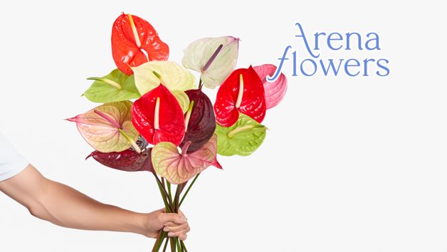 12-Month Arena Flowers Luxury Flower Subscription picture