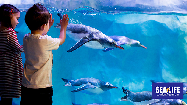 Two Adult and One Child Entry Tickets to SEA LIFE London Aquarium picture