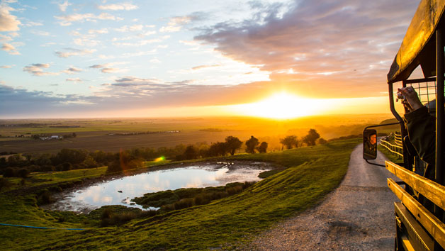 Digital Animal Adoption with Entry to Port Lympne Reserve and Truck Safari for a Family of Four picture