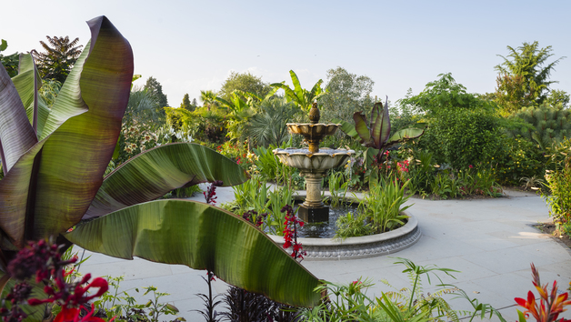 Visit to RHS Garden Wisley for Two picture