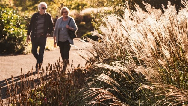 Visit to RHS Garden Hyde Hall for Two picture