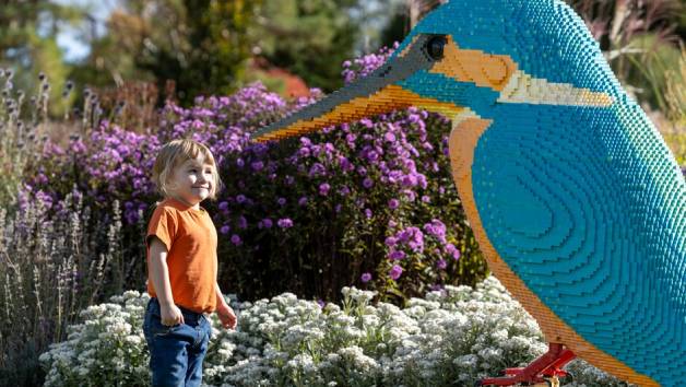 RHS Individual Membership (plus 1 guest or 2 children) picture