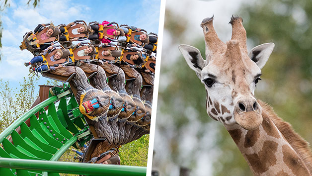 Entry to Chessington World of Adventures and VIP Giraffe Safari for One picture