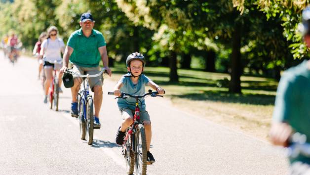 Highlights of Royal London Bike Tour with Unlimited Biking for One Adult and One Child picture