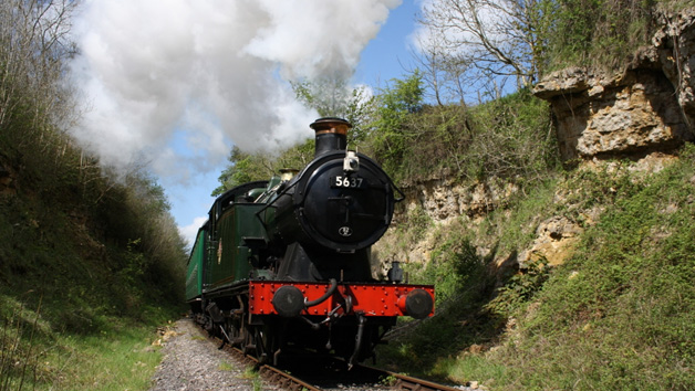 East Somerset Railway Family Day Rover Ticket picture