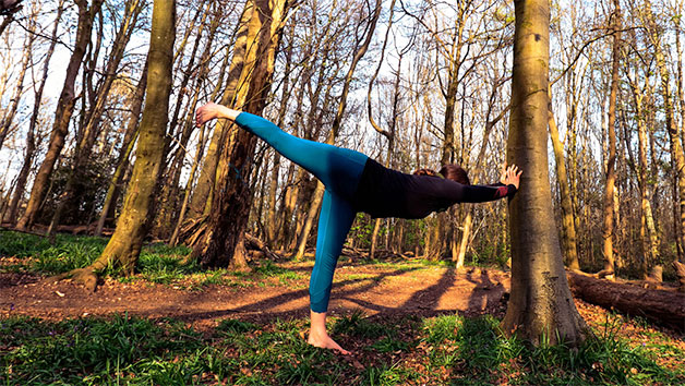Yoga and Nature Retreat with BrightonYoga for One Person picture