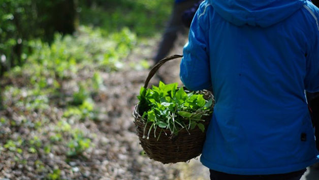 Foraging Walk for Two picture