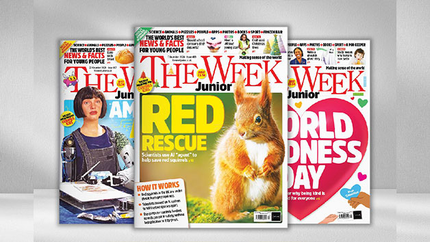 12 Months of The Week Junior Magazine picture
