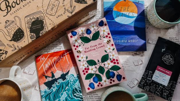 Four Month Bookishly Classic of the Month Book Subscription picture