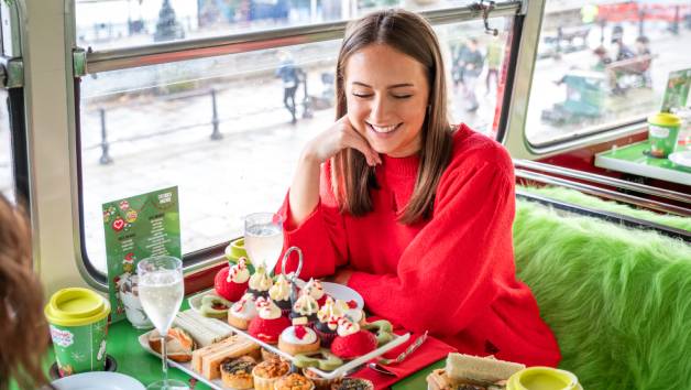 Weekend Grinchmas Afternoon Tea Bus Tour with Brigit’s Bakery for One Adult and One Child picture
