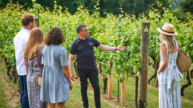 Cheese and Wine Tasting Experience at Chapel Down Wines for Two Image 3