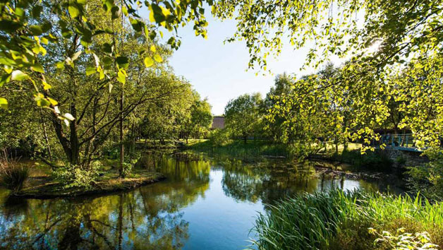 Two-Night Stay with Dinner for Two at Chevin Country Park Hotel and Spa picture