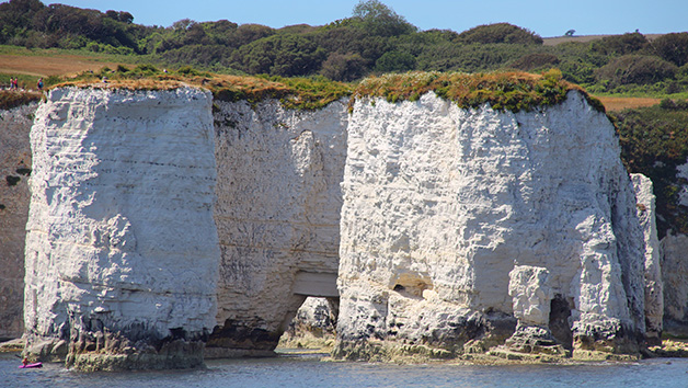 Island and Harbour Cruise for One Adult picture