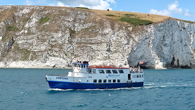 Jurassic Cruise for One Adult and One Child from Poole Harbour picture