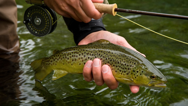 One Day Trout Fly Fishing Introduction for One picture
