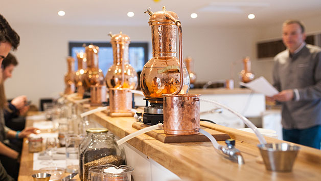 Gin School for Two with Salcombe Gin picture
