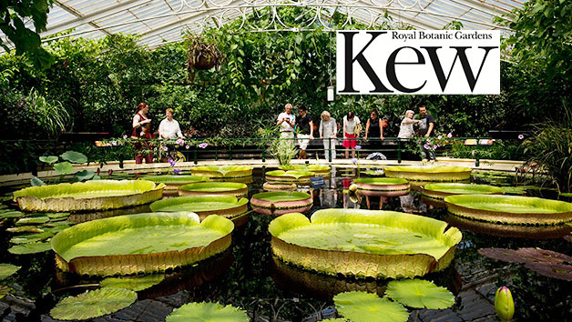 Family Entry to Kew Gardens and Palace for Two Adults and Two Children picture