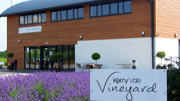 Vineyard Tour with Wine Tasting and Cheese at Kerry Vale Vineyard for Two picture