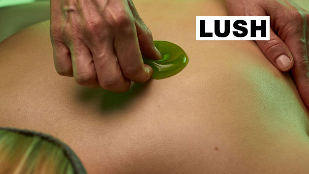 THE GOOD HOUR 70 Minute Sea Themed Firm Full Body Massage for One at LUSH Spas picture