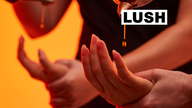 KARMA 65 Minute Ayurvedic Inspired Full Body Massage for One at LUSH Spas picture