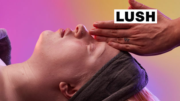 SYNAESTHESIA 80 Minute Full Body Massage for Two at LUSH Spas picture