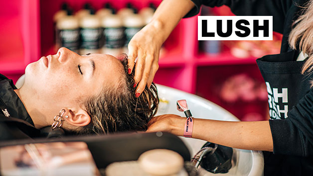 LUSH Wash and Finish for One picture