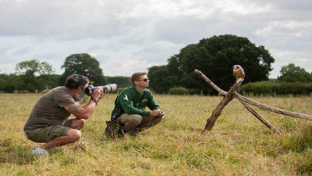 Two Hours Birds of Prey Photography Experience for One with Mercer Falconry picture