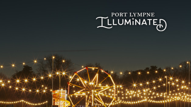 Festive Magical Light Trail and Overnight Stay at Port Lympne for Eight People, Kent picture